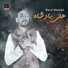 Raza Hassan - Ali A.s Badshah